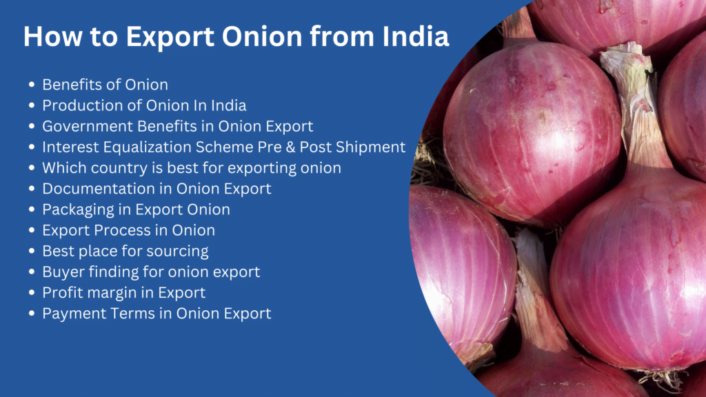 How to start onion export from India